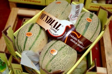 Meloni, accordo tra Alegra e il consorzio Mundial di Licata