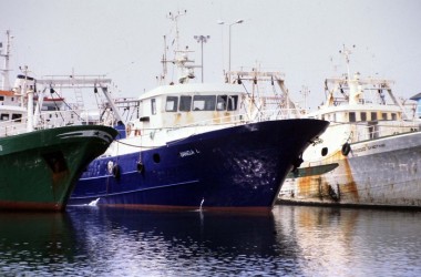 Pescatori preoccupati per rischio aggressioni, chiesto aiuto