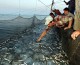 Pesca: Commissione Ue, ancora troppe catture in Mediterraneo