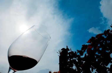 Vino: in Sicilia vendemmia 2015 da ricordare