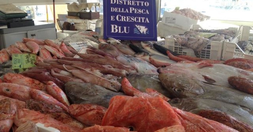 Missione commerciale del Distretto della Pesca in Algeria e Tunisia