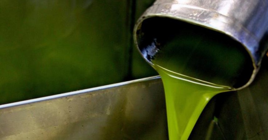 Il marchio Igp per l’olio siciliano oggi in Gazzetta Europea