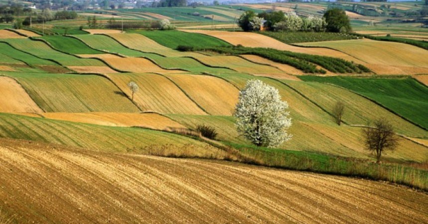 Agricoltura: oltre 2 mld di euro per la Sicilia entro il 2020