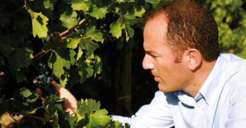 Antonio Rallo nuovo presidente di Unione Italiana Vini