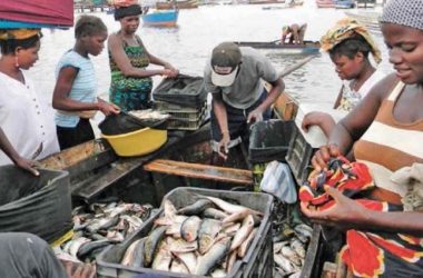 Missione del settore Pesca in Angola