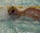 Europei nuoto, azzurri della 4×100 vincono il bronzo a Budapest