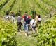 Alla scoperta dei vini siciliani con “Cantine Aperte”