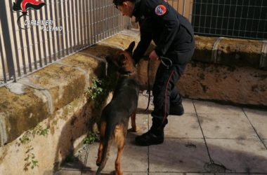 Spacciavano droga davanti a una scuola, 12 arresti a Palermo