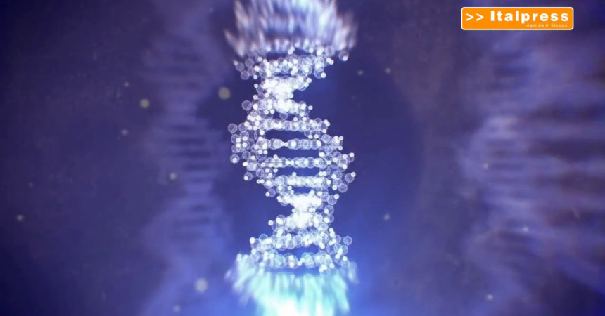 Malattie genetiche, nuove scoperte sul DNA “copia e incolla”