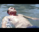 Sundown, il trailer del film con Tim Roth