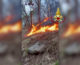 Continuano a bruciare i boschi nel Verbano