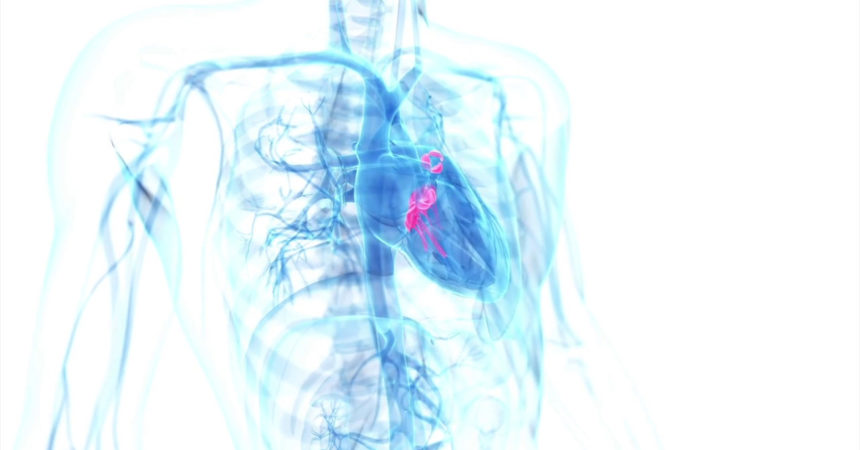 Ampliare rete delle emodinamiche per curare le valvulopatie cardiache