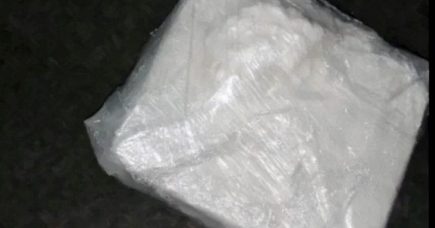 A Trieste sequestrate 4,3 tonnellate di cocaina, 38 gli arrestati