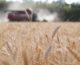 Agroalimentare, nel primo trimestre l’export supera i 6 mld
