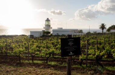 Tasca d’Almerita-Tenuta Capofaro riceve premio miglior carta vini mondo