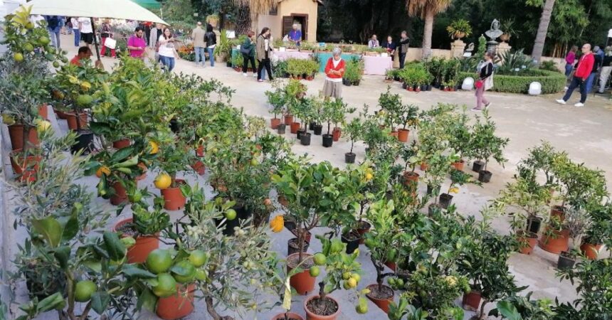 All’Orto Botanico di Palermo 12 mila visitatori per “Zagara d’Autunno”