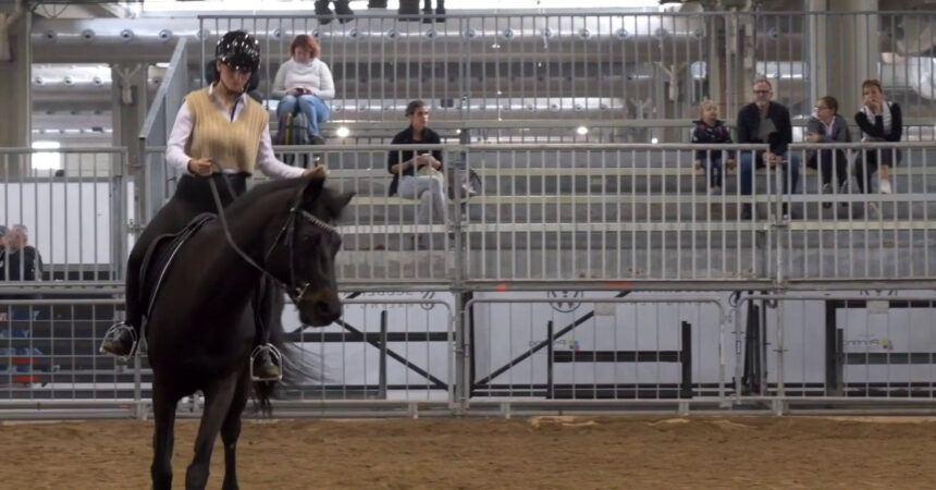 Equitazione, Di Paola “Obiettivo salto ostacoli a Parigi 2024”