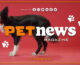 PetNews Magazine – 31/1/2023