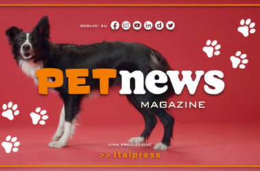 PetNews Magazine – 28/2/2023