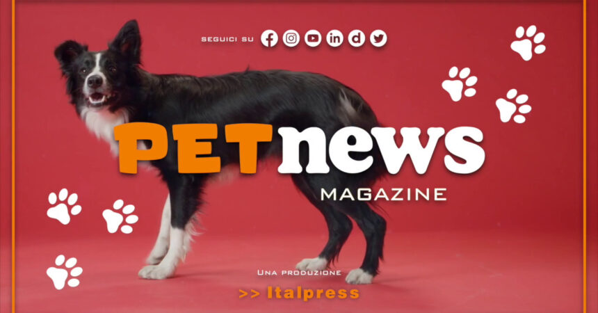 PetNews Magazine – 28/2/2023
