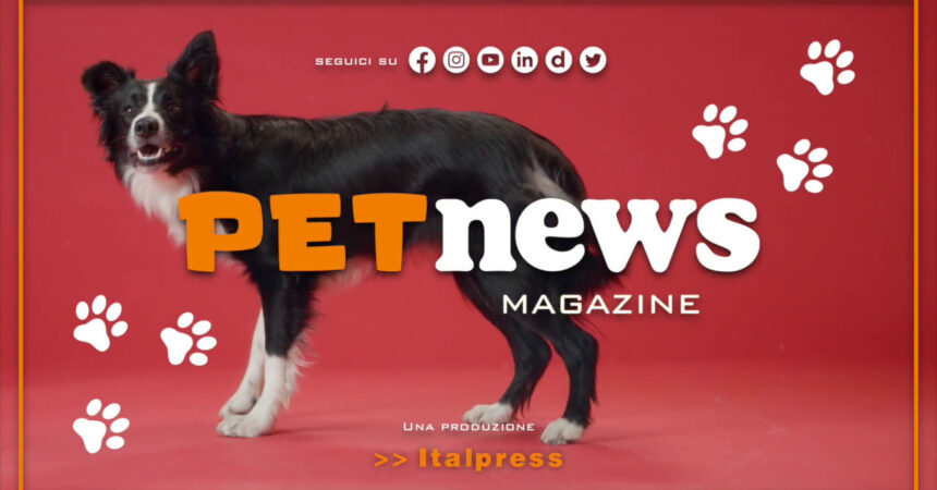PetNews Magazine – 28/3/2023