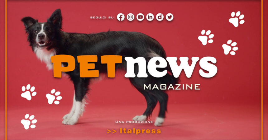 PetNews Magazine – 23/5/2023