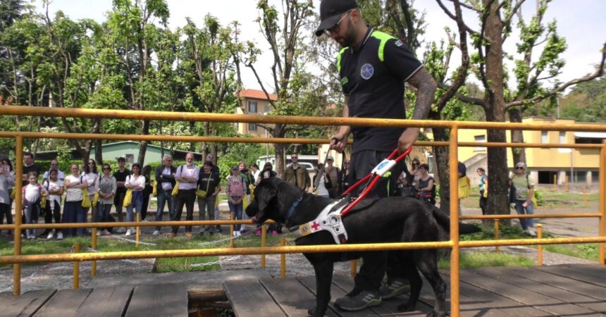 Apre le porte il centro di addestramento cani guida Lions di Limbiate