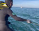 Sequestrati 1.500 metri di reti da pesca sul litorale di Ortona
