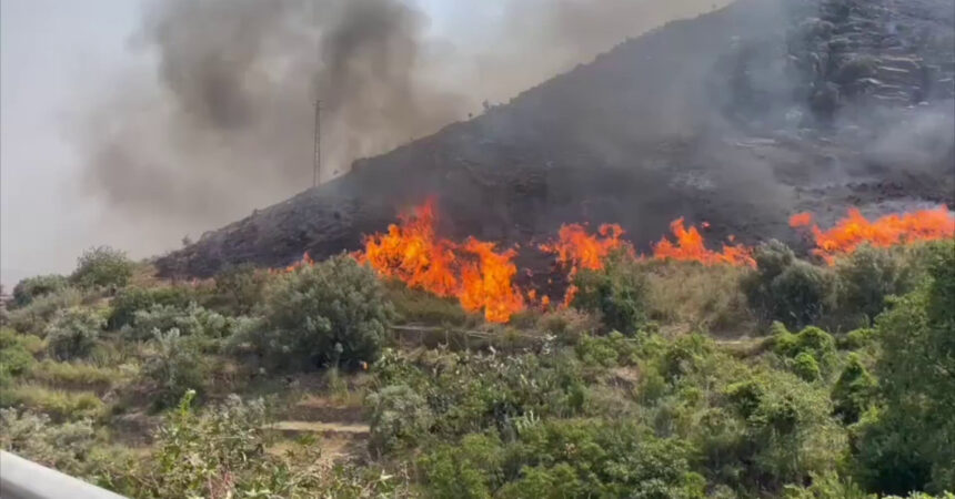 Incendio alle porte di Palermo, in fumo ettari di macchia mediterranea