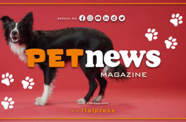 PetNews Magazine – 29/8/2023