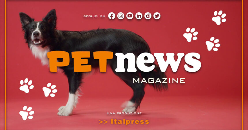 PetNews Magazine – 1/8/2023