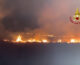 In fiamme bosco nel Materano, squadre dei vigili del fuoco in azione