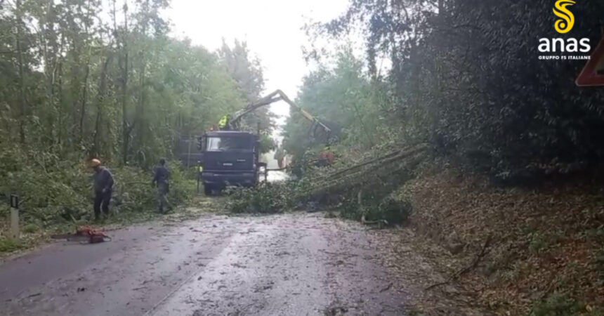 In Toscana chiusa la SS 12 per alberi caduti in carreggiata