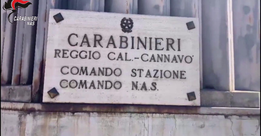 Reggio Calabria, sequestro di salumi e carne per due tonnellate
