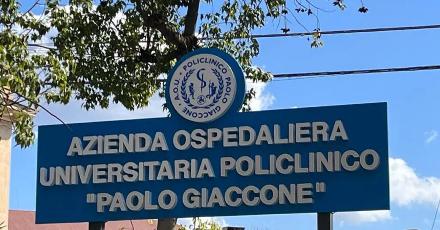 Tentano furto al Policlinico di Palermo, 2 ladri bloccati dagli infermieri