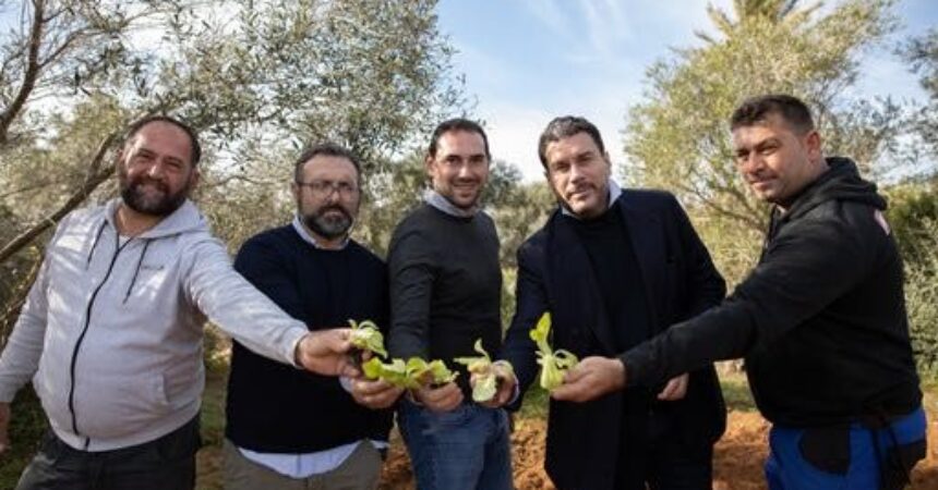 Vola oltreoceano “Efebo Sicily”, il sigaro dal gusto siciliano