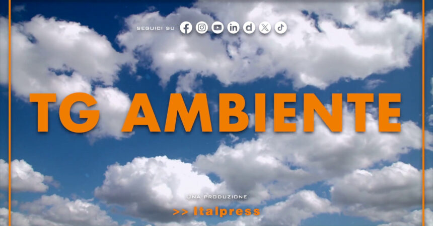 Tg Ambiente – 18/2/2024