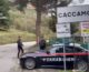Mafia, scoperti dopo 25 anni i mandanti dell’omicidio di Mico Geraci