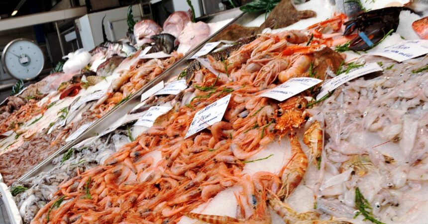 Blitz contro il mercato abusivo del pesce nel Trapanese, multe e sequestri