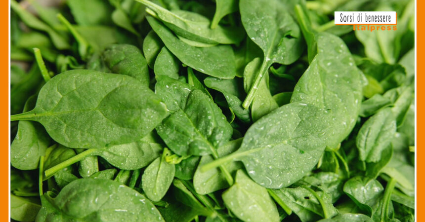 Sorsi di benessere – Pesto di spinacino e nocciole