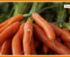Sorsi di benessere – Pesto di carote per preparare la pelle all’estate