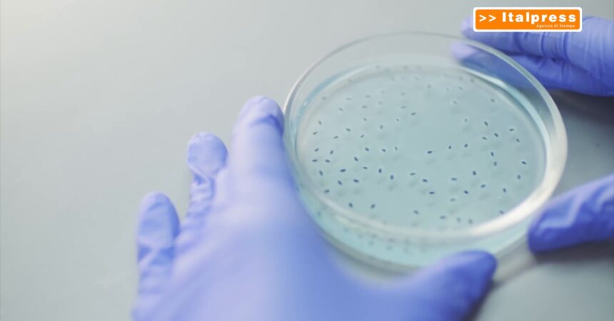 Nisticò (Aifa) “I farmaci sono sempre più innovativi e mirati”