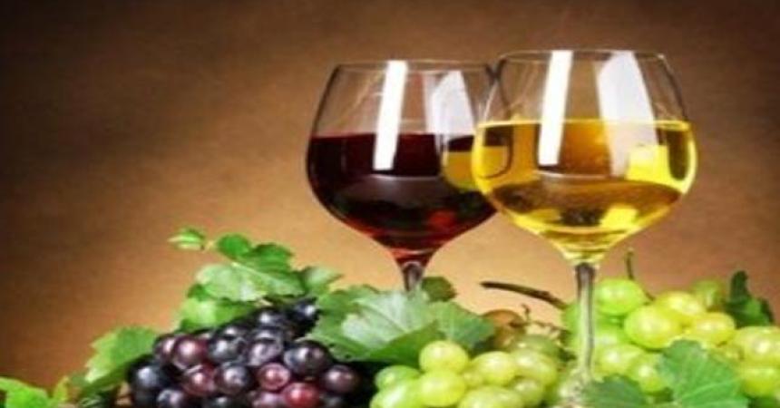 Export, Sicindustria Trapani: il 28 Focus vini Sicilia organizzato dall’Ice