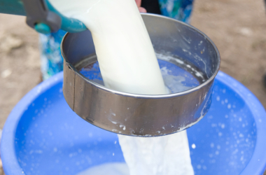 Coldiretti Sicilia sollecita la produzione casearia con latte siciliano