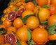 Confagri, arance spagnole con funghicida