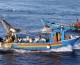 Pesca: nasce a Palermo comitato anti Ue che guarda a Salvini