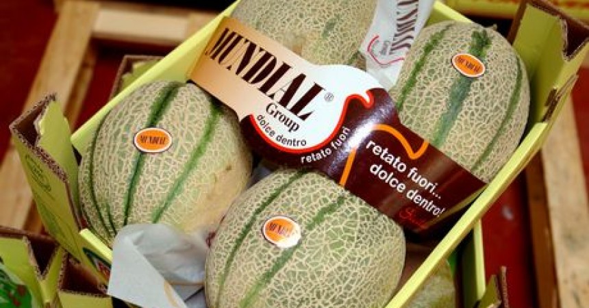 Meloni, accordo tra Alegra e il consorzio Mundial di Licata