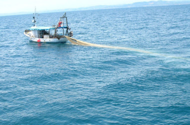 Sicilia-Tunisia: formazione congiunta per controlli su pesca