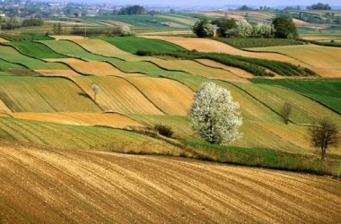 Agricoltura: oltre 2 mld di euro per la Sicilia entro il 2020
