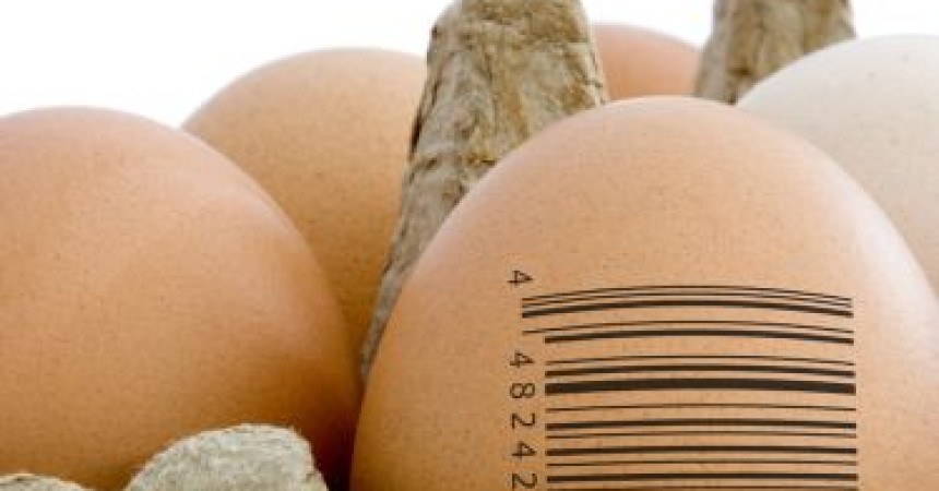 Ue approva l’etichettatura d’origine obbligatoria per i prodotti alimentari